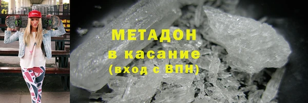 прущие грибы Надым