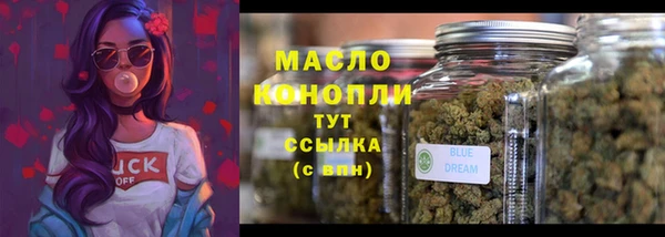 прущие грибы Надым