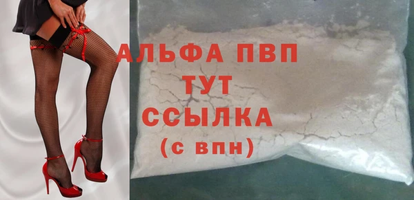 прущие грибы Надым