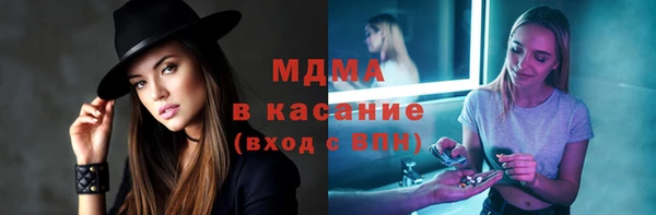 прущие грибы Надым