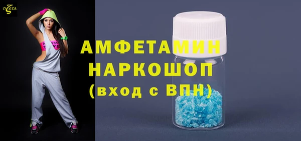 прущие грибы Надым