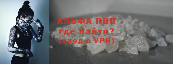 прущие грибы Надым