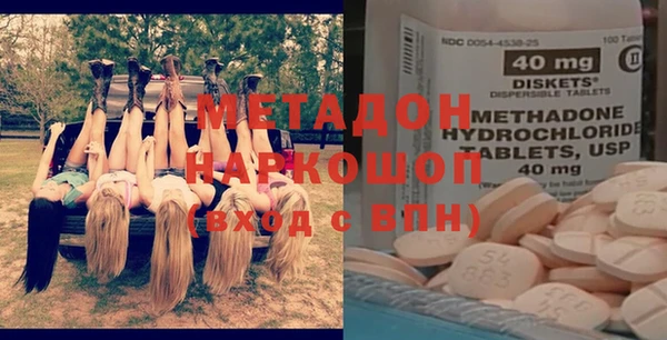 прущие грибы Надым