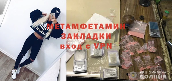 прущие грибы Надым
