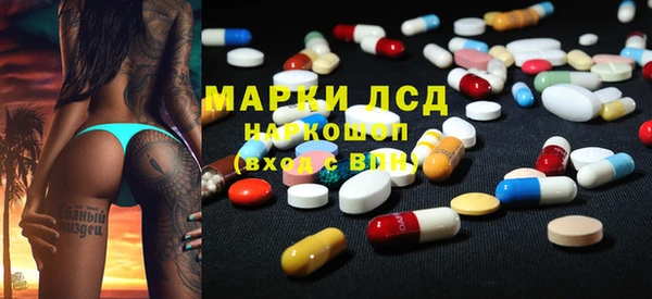 прущие грибы Надым