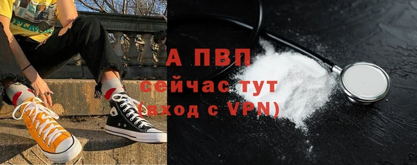 прущие грибы Надым