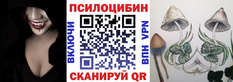 закладка  Копейск  Псилоцибиновые грибы прущие грибы 