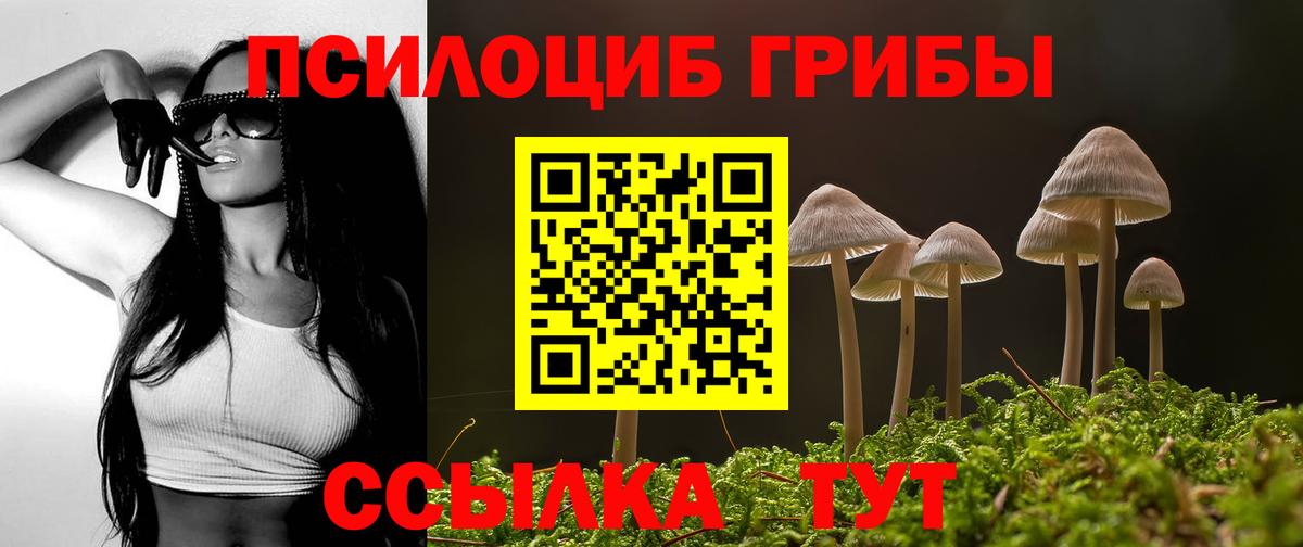 Галлюциногенные грибы Psilocybe  Галлюциногенные грибы Psilocybine cubensis  Вход с VPN  Копейск 